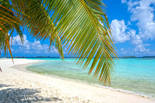 beautiful beach on the maldives