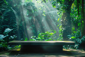 Mystical rainforest-themed display platform, with dappled sunlight and rich green foliage, perfect for showcasing eco-friendly products or creating an atmosphere of tranquil wilderness