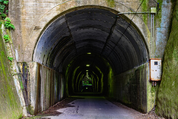 Fototapeta premium 山道の細い道とトンネル