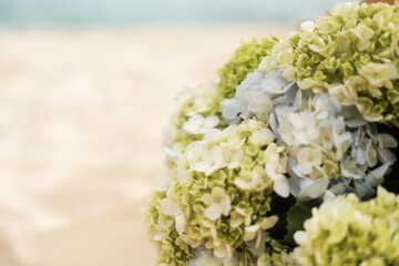 A close-up of a bouquet of blue white and yellow hydrangeas that lies on the sand on the beach near the ocean. Wedding bouquet during the ceremony. Banner with hydrangeas for a flower salon.