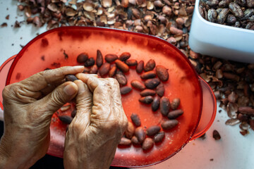 old woman hands peeling cacao beans