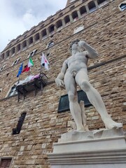 Icon of Strength: Michelangelo's David in Florence