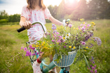 Girl on a bike with a basket of wild flowers on a meadow. Sunny summer day, rays of light, rural background. Summer vacation concept.