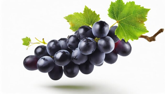 Black grapes with green leaf flying in the air isolated on white background..