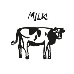 Hand drawn sketches of cows. number of livestock. livestock animal grazing. vector illustration