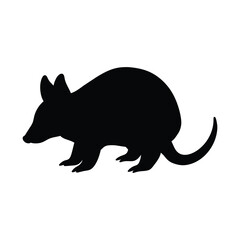 Obraz premium silhouette of a Armadillo on white