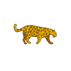 leopard, jaguar. Vector illustration isolated on white background.