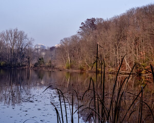 Obraz premium landscape