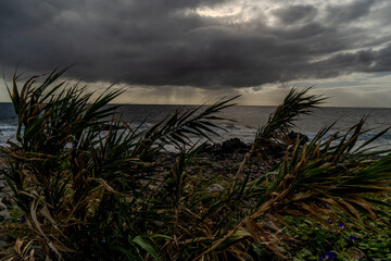 Dramatic sky over the sea with dark storm clouds and grass