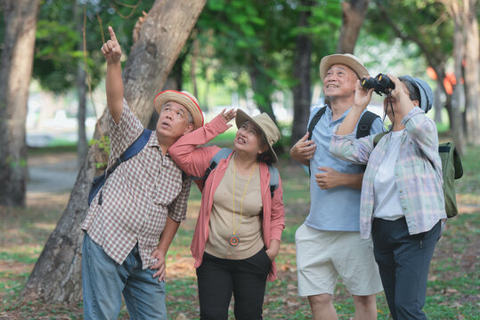 A group of Asian tourists backpacks, goes hiking, uses a camera to watch birds, and walks to see nature. Ideas for traveling to relax after retirement