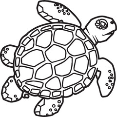 Fototapeta premium Sea Turtle coloring pages. Sea Turtle outline for coloring book