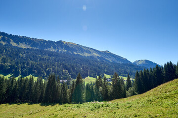 Alpine Meadows, Pine Forests, and the Azure Sky. Summer Meadows and Evergreen Forests Beneath Blue Skies. Mountain: Grazing Pastures and Pine-Laden Slopes in Summer. Nature Alpine Ecosystem Harmony