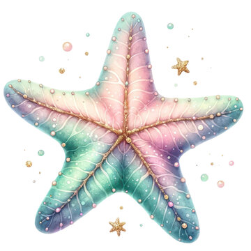 recommend clip art: watercolor starfish , starfish in watercolor technique on a white isolated background