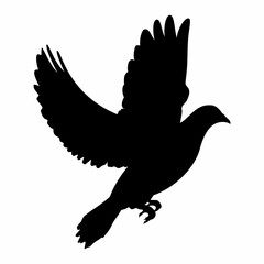 Pigeon Bird silhouette illustration Image