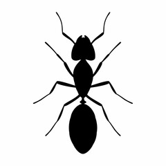 Ant silhouette icon. Flat image