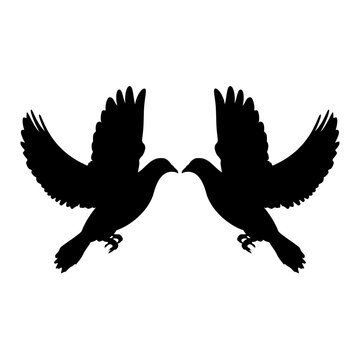 Pigeon silhouette illustration. Vector Image