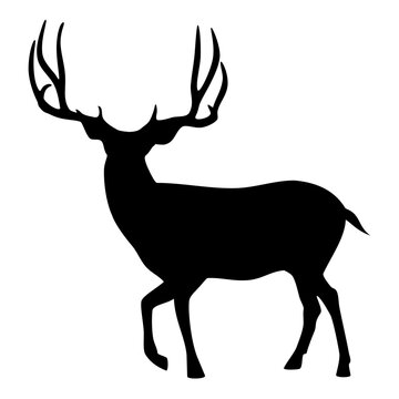 Mule deer silhouette. Vector image