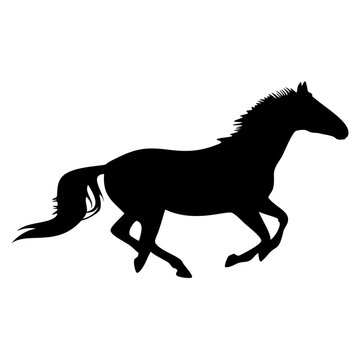 Horse animal silhouette. Vector image