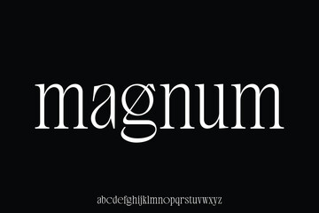 Elegant modern serif alphabet display font vector. Minimalist magnum typeface