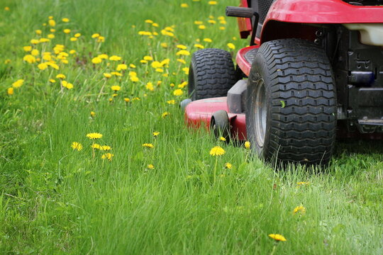 Gardening concept background. Gardener cutting the long grass on a tractor lawn mower