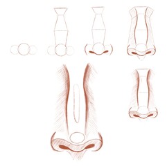 Nose. Sketch. Tutorial.