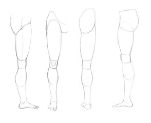 Sketch. Leg. Anatomy. Simple pencil.