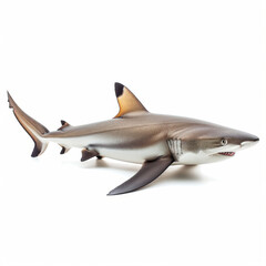 Lifelike model of a Blacktip Reef Shark on a white background, side view.