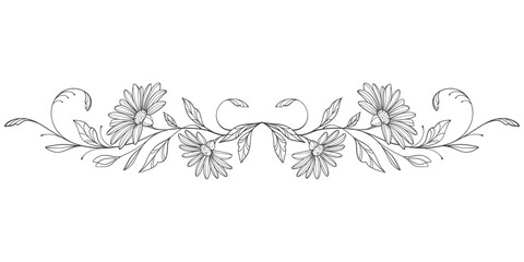Sketch Floral Botany pattern. flower drawings. Black and white with line art on transparent backgrounds. Hand Drawn Botanical 