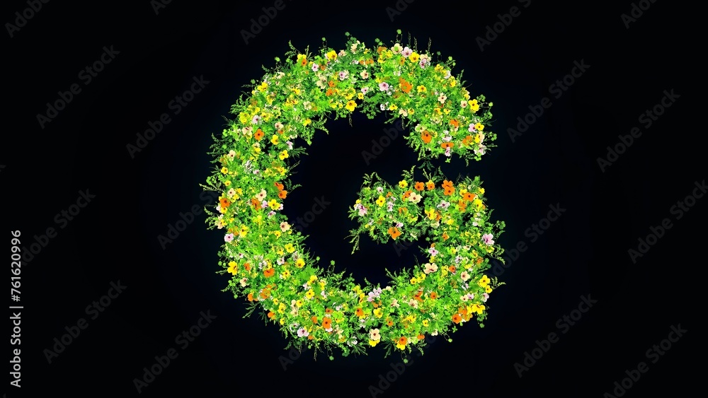 Wall mural Beautiful illustration of English alphabet G with colorful flowers and green grass on plain black background