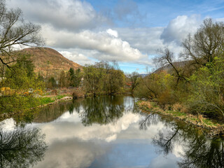 landscape with lake and trees