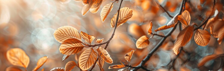 Closeup of golden beech leaves on a tree branch in autumn, with a blurred background Generative AI - obrazy, fototapety, plakaty