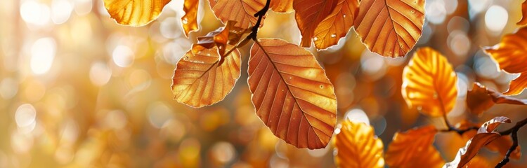 A closeup of golden beech leaves on the branches, bathed in warm sunlight The background is blurred to highlight autumn's rich colors and textures in the style of nature Generative AI - obrazy, fototapety, plakaty