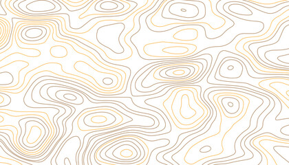 Topographic map. Abstract vector background. Seamless pattern with lines Topographic map. Geographic mountain relief. Abstract lines background. Contour maps. Topo contour map on white background.
