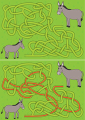 Donkeys maze for kids with a solution