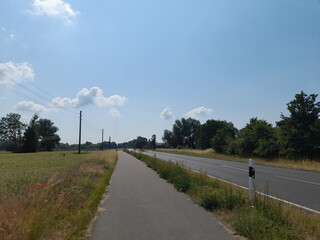 Radweg am Getreidefeld