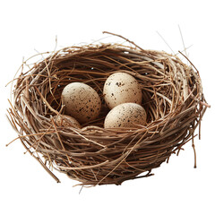 Naklejka na ściany i meble Eggs in Bird's nest on transparent background