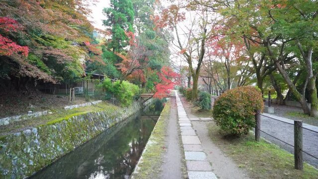 京都　秋の哲学の道を歩く