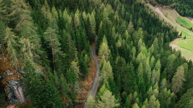 Aerial drone shot, camera fly over onto epic and beautiful mountain dirt road, winding between green pine forest. Cinematic shot of Alps and gravel roads used for hiking and agriculture