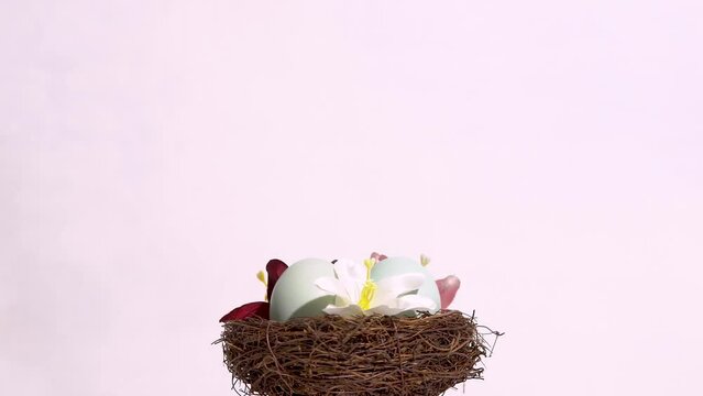 Nest with eggs and flowers on white background, happy easter , 4K footage