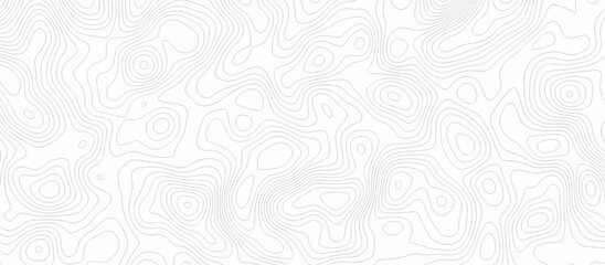 Abstract wave paper curved reliefs background .gradient multicolor wave curve lines banner background design .topographic contours map background .Vector geographic contour map.