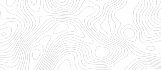 Foto op Plexiglas Abstract wave paper curved reliefs background .gradient multicolor wave curve lines banner background design .topographic contours map background .Vector geographic contour map. © AYSHA