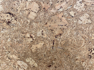 Cork flooring for floors, walls, different colors, textures. Background, wallpaper