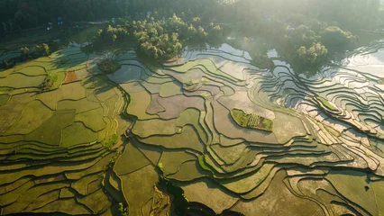 Poster Morning Aerial view of Padi Field in Sumba, East Nusa Tenggara, Indonesia © fakruljamil