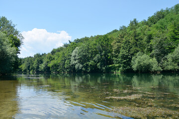 Fototapeta na wymiar Detail of river Kupa near Orljakovo in Croatia