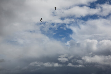 Cloudy sky with white clouds and a cloudless area with blue sky