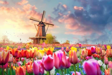 Fotobehang Dutch windmill over colorful tulips field, Netherlands © amankris99
