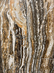 Textured plaster for the wall, different colors, relief, background. Ceramic tiles