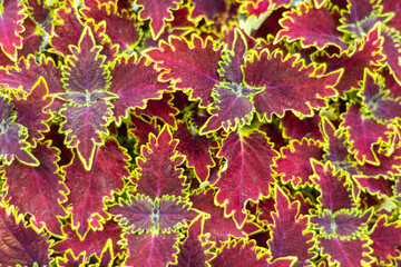 Hong Kong 2024 travel