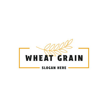 wheat agriculture logo design creative idea