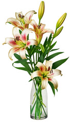 bouquet of lilies of the valley suitable for photo collage project